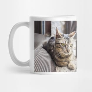 Greek Cat Mug